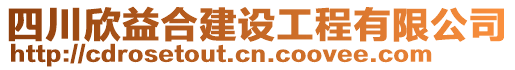 四川欣益合建設(shè)工程有限公司