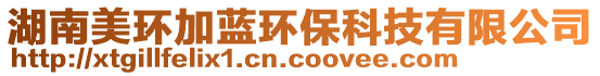 湖南美環加藍環??萍加邢薰? style=