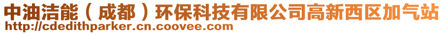 中油潔能（成都）環(huán)保科技有限公司高新西區(qū)加氣站