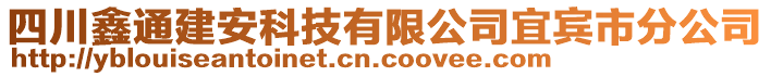 四川鑫通建安科技有限公司宜賓市分公司