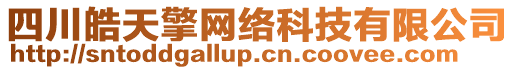 四川皓天擎網(wǎng)絡(luò)科技有限公司