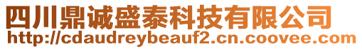 四川鼎誠盛泰科技有限公司