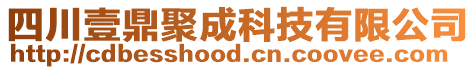 四川壹鼎聚成科技有限公司