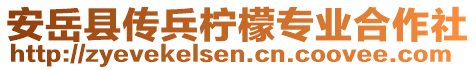 安岳縣傳兵檸檬專業(yè)合作社