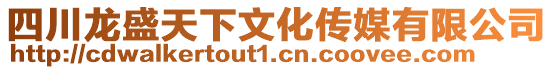 四川龍盛天下文化傳媒有限公司