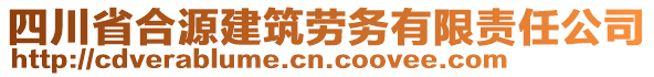 四川省合源建筑勞務有限責任公司