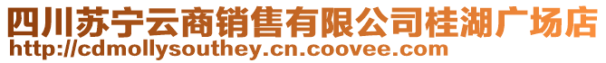 四川蘇寧云商銷售有限公司桂湖廣場店