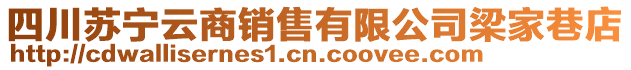 四川蘇寧云商銷售有限公司梁家巷店