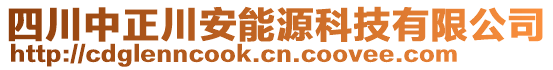 四川中正川安能源科技有限公司