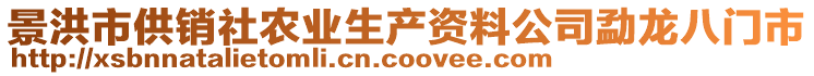 景洪市供銷社農業生產資料公司勐龍八門市