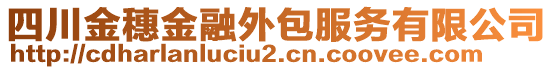 四川金穗金融外包服務(wù)有限公司