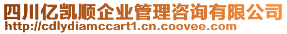 四川億凱順企業(yè)管理咨詢有限公司