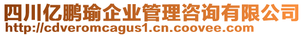 四川億鵬瑜企業(yè)管理咨詢有限公司