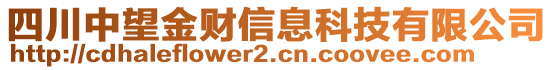 四川中望金財信息科技有限公司