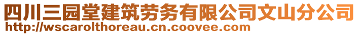 四川三園堂建筑勞務有限公司文山分公司