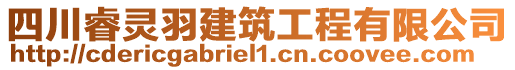 四川睿靈羽建筑工程有限公司