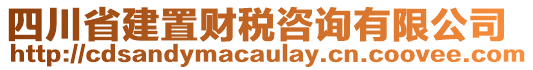 四川省建置財稅咨詢有限公司