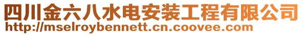 四川金六八水电安装工程有限公司