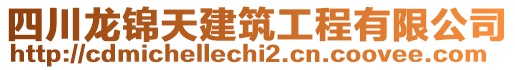 四川龍錦天建筑工程有限公司