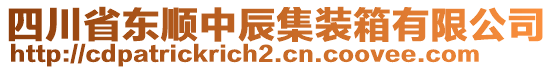 四川省東順中辰集裝箱有限公司