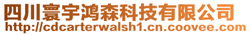 四川寰宇鴻森科技有限公司