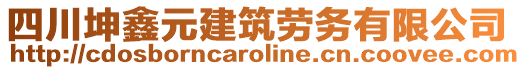 四川坤鑫元建筑勞務有限公司