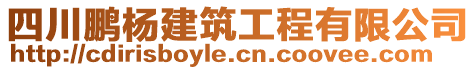 四川鵬楊建筑工程有限公司