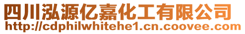 四川泓源億嘉化工有限公司