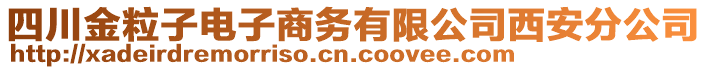 四川金粒子電子商務(wù)有限公司西安分公司