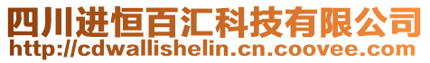 四川進恒百匯科技有限公司