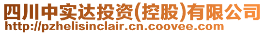 四川中實達投資(控股)有限公司