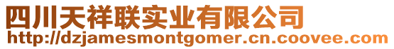 四川天祥聯(lián)實(shí)業(yè)有限公司