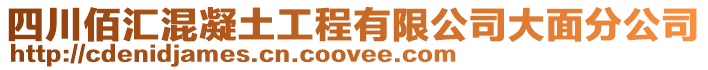 四川佰匯混凝土工程有限公司大面分公司