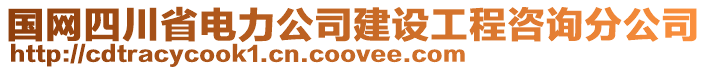 國(guó)網(wǎng)四川省電力公司建設(shè)工程咨詢(xún)分公司