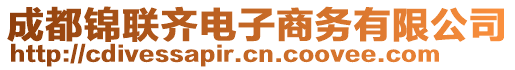 成都錦聯(lián)齊電子商務(wù)有限公司