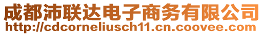 成都沛聯(lián)達(dá)電子商務(wù)有限公司