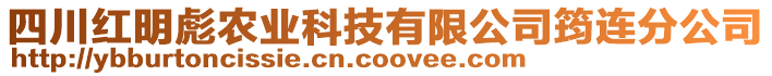 四川紅明彪農(nóng)業(yè)科技有限公司筠連分公司