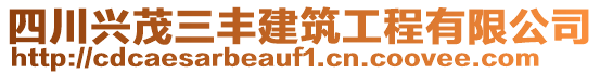 四川興茂三豐建筑工程有限公司