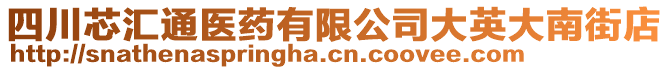 四川芯匯通醫(yī)藥有限公司大英大南街店