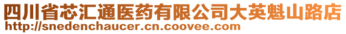 四川省芯匯通醫(yī)藥有限公司大英魁山路店