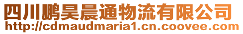 四川鵬昊晨通物流有限公司