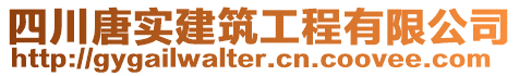 四川唐實建筑工程有限公司