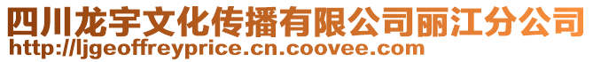 四川龍宇文化傳播有限公司麗江分公司