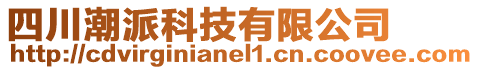 四川潮派科技有限公司