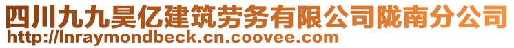 四川九九昊億建筑勞務有限公司隴南分公司