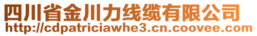 四川省金川力線纜有限公司