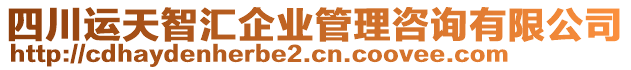 四川運天智匯企業(yè)管理咨詢有限公司