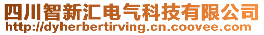 四川智新匯電氣科技有限公司