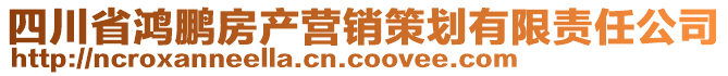 四川省鴻鵬房產(chǎn)營銷策劃有限責任公司