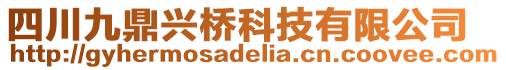 四川九鼎興橋科技有限公司